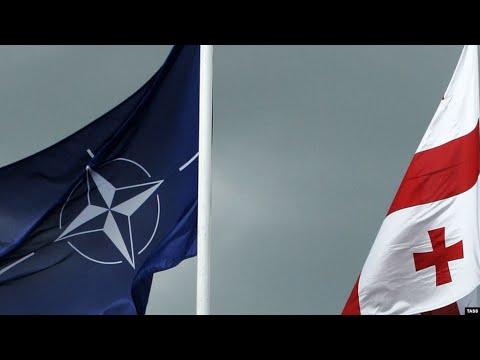 NATO-საქართველოს თანამშრომლობის რეალური მიზნები და მითები